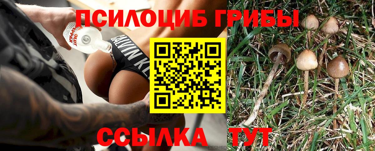 Саяногорск  Псилоцибиновые грибы Psilocybine cubensis  где купить наркоту  Вход с VPN 